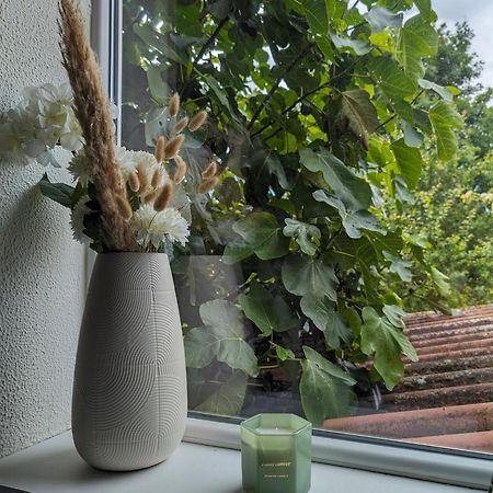 Evasion Verte En Alsace ! Niederschaeffolsheim Dış mekan fotoğraf